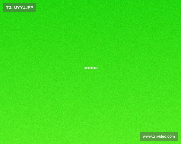 亚洲电子竞技大师赛